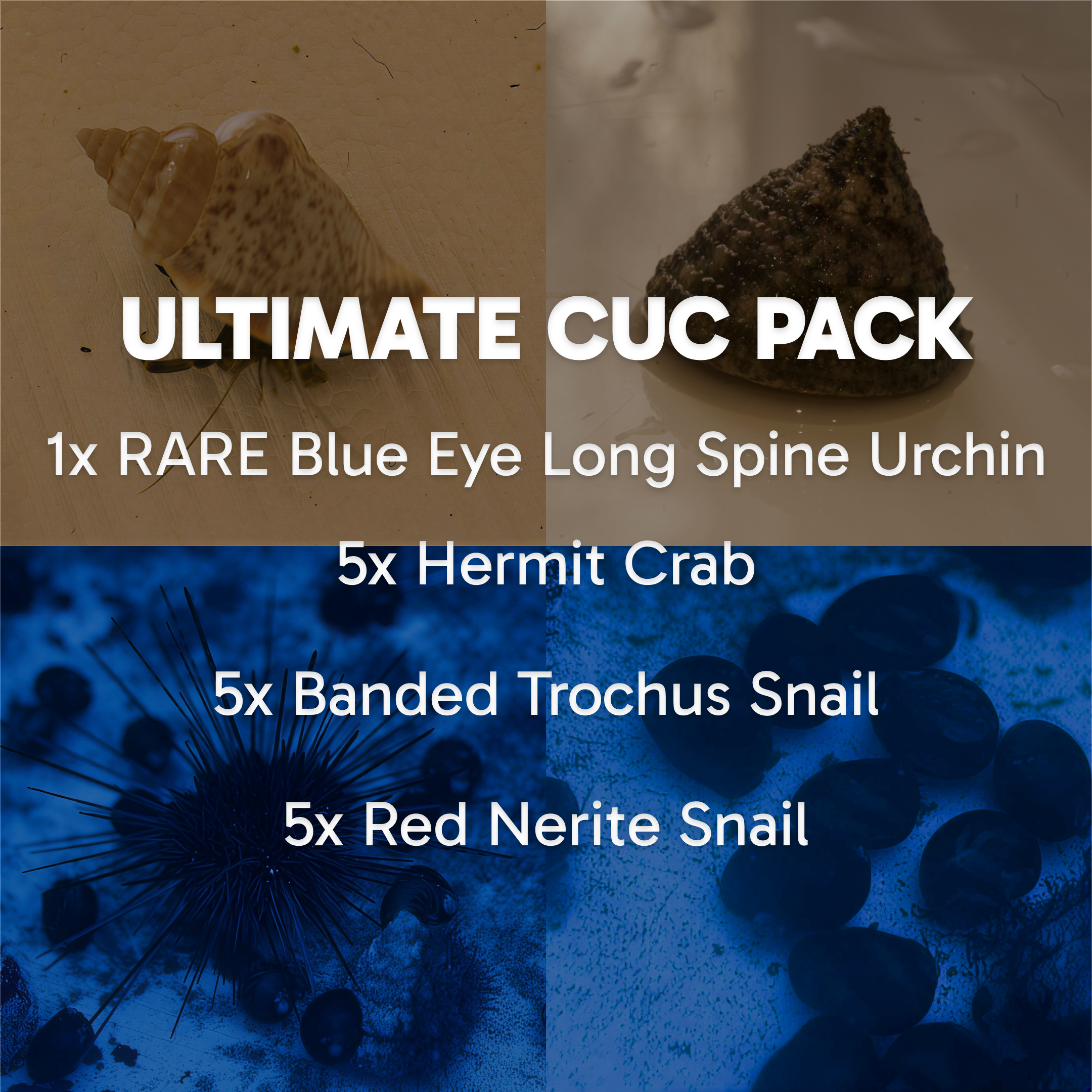 Ultimate CUC Pack